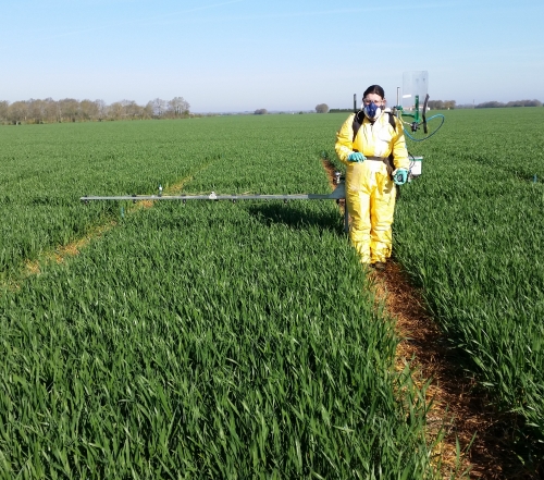 A field operator spraying. Special gear for complete protection.